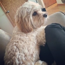 1546348_10206081158413604_4117709821347183735_n