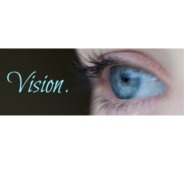 Vision