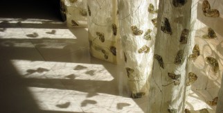 drapes-sunlight-1222507-1599x809